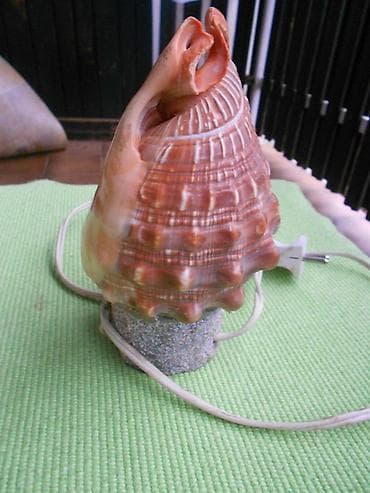 harry potter sat 1: Stara školjka-lampa. Ispravna, očuvana! Šaljemo Beksom — 2