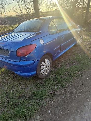 alat za ispravljanje udubljenja na autu: Peugeot 206 kabrio delovi — 3