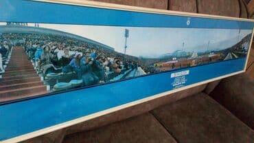 Houseplants: Print, 34 x 140 cm, Used — 9