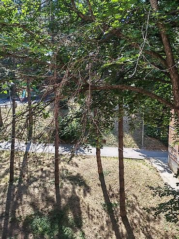 poslovni prostor prodaja: Na prodaju stan od 52kvadrata plus 4 kvadrata terase ( terasa gleda na — 8