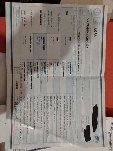 udomljavanje pasa zrenjanin: Vajmarski ptičar Ženka Vajmarskog ptičara stara 3 godine, od lovnih i — 5