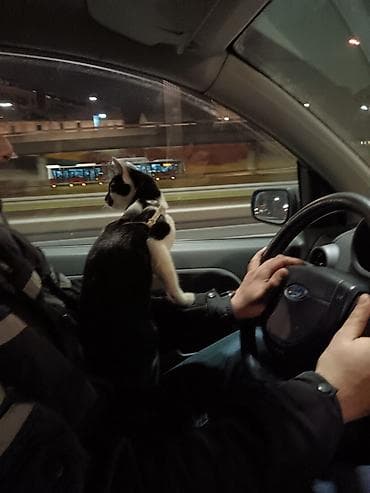 ptice na poklon: Pet shop “Maza & Nera” – sve za ljubimce na jednom mestu Pored — 7