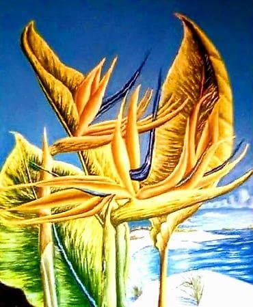 heklani stolnjaci cene: Slika, 50 x 60 cm, Novo — 8