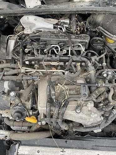 MOTOR 1.6 TDI ZA ŠKODA RAPID - CXMA | Motor 1.6 TDI na lalafo.rs MOTOR 1.6 TDI ZA ŠKODA RAPID - CXMA | Motor 1.6 TDI
