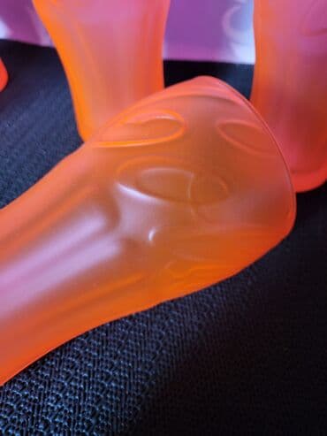 Sobne biljke: Case nove oranz Coca Cola. Case nove,komada 6 u ceni. Visina. 14cm — 9