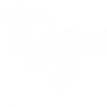 dolmar 112 karakteristike: Set od 5 metalnih opruga - Tip: cilindrične kompresione opruge - — 2