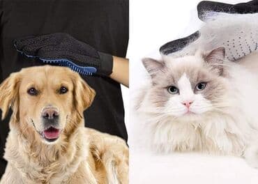 Magična rukavica za kućne ljubimce Samo 950 dinara. Porucite odmah na lalafo.rs Magična rukavica za kućne ljubimce Samo 950 dinara. Porucite odmah