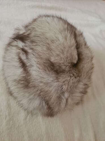 Beanies: Bunda kapa/šubara od krzna, klasičan okrugli model. - Materijal — 1