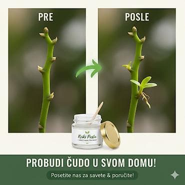 privesci za samoodbranu: Keiki pasta za razmnozavanje i produzetak cvetanja vaše — 2
