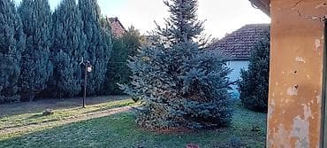 prodaja kuca okolina mladenovca: Kuća na produju — 6