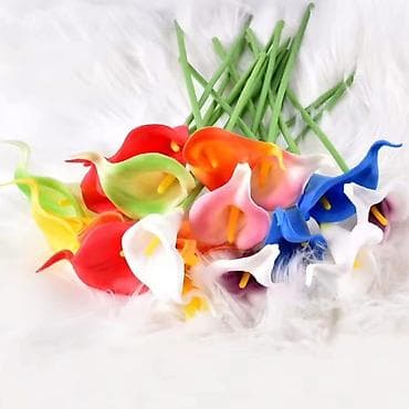 Ureznice: Vestacke kale
10kom- 1400 din — 5