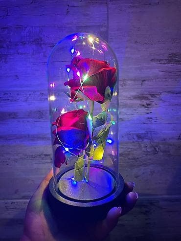 Večna ruža u staklenom zvonu sa led lampicom 🌹✨ čarobna ruža u