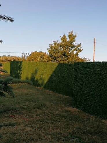 Sve za roštilj: Ograda žica trava veštačka živa ograda Prodaja i ugradnja veštačke — 3