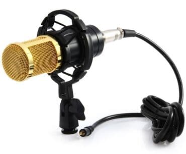 klima za auto na upaljac: STUDIO mikrofon Mikrofon je zaista izuzetnog kvaliteta, prelepog — 3
