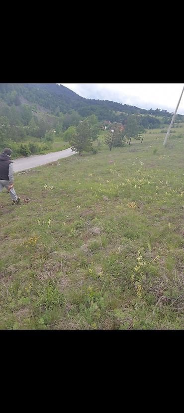 prodaja kuce cacak: ŠLJIVOVICA – ZLATIBORSKA OAZA MIRA (Opština Čajetina) ? ​Prodajem dve — 4