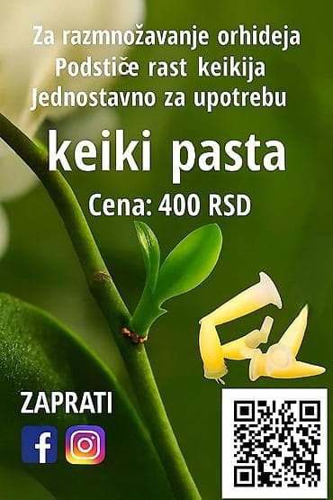privesci za samoodbranu: Keiki pasta za razmnozavanje i produzetak cvetanja vaše — 1