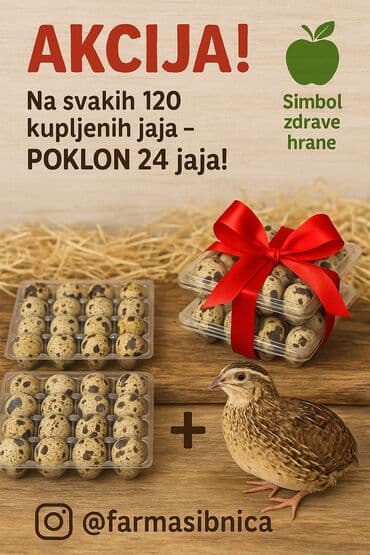 deciji set sto i stolica: Sveža prepeličja jaja sa Farme Sibnica, idealna za zdravu i — 1