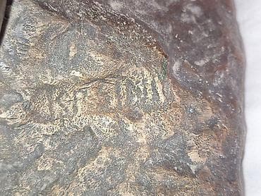 Prehrambeni proizvodi: Bronzana skulptura Frana Kršinića 12kg– figura žene u poluležećem — 6