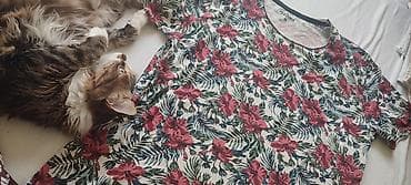 h and m serbia: Muske majce u ML velicini 400 din — 4