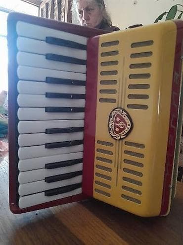 muzicki instrumenti: Harmonika sa klavijaturom – polukoncertni model kompaktnih dimenzija — 1