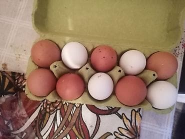 kućna dekoracija: Domaća kokošija jaja u kutiji od 10 komada. - Mešavina smeđih i belih — 2