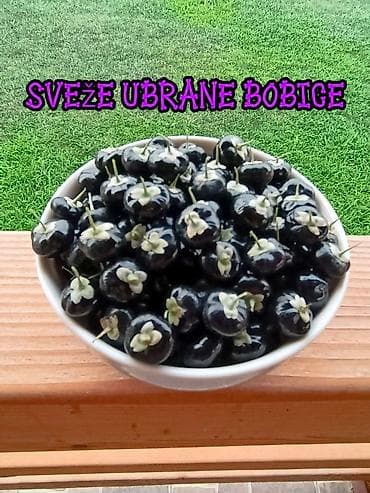 pecka na plin: Sveže ubrane bobice crne goji (Black Goji – Lycium ruthenicum) - — 1