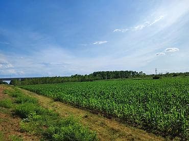 pronađi mi poslovni prostor za izdavanje na teritoriji beograda od 850m2 do 1200m2: Zemljište na Savi pored Šapca, površine 2.7 ha. Trenutno je obradivo — 6
