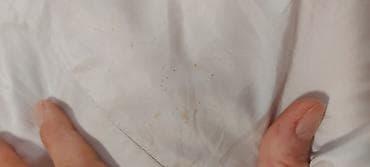 Donji delovi trenerke: Bershka, M, Jednobojni, Sa postavom — 4