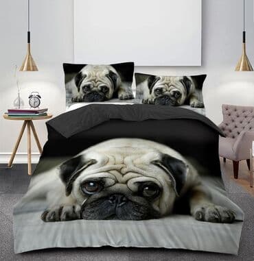 Lighting & Fittings: Single — 8