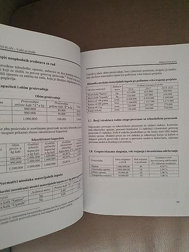 Art & Collectibles: Naslov: Poslovni plan – Vodič za izradu (Dr Blagoje Paunović, Dr — 2