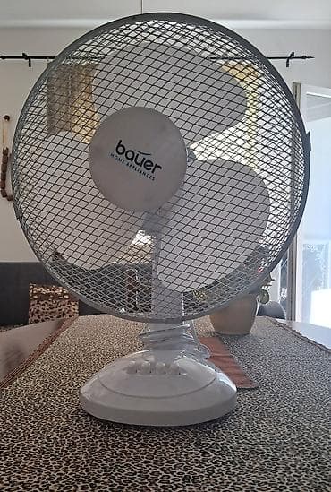 grejalica na usb: Stočni ventilator Bauer Home Appliances - Tip: stolni električni — 1