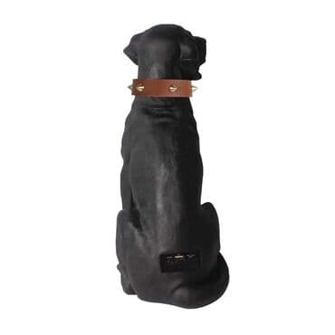 zvucnici bluetooth veliki: 4100din Veliki Pas Bluetooth zvučnik velike veličine, ​​sa — 4