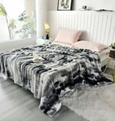 Houseplants: Size - Double — 6