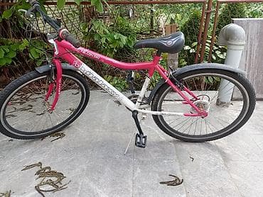 Dečiji/teen bicikl Galaxy Falcon 060 - Veličina točkova: 24" -