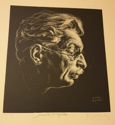 cvece kroton slike: Painting, Used — 1