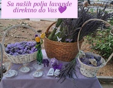visoke saksije za sobno cvece: Bоја - Ljubičasta, Novo — 1