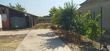 jeftine kuće kosmaj vikendice 6000e: Kuća, Majdan (Novi Kneževac), 110 m2 Kuća u Majdanu, severnobanatski — 6