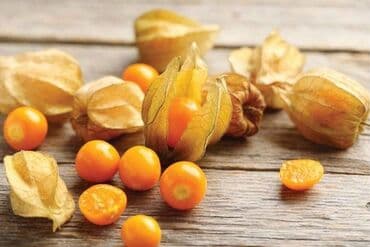 bure za navodnjavanje: Peruanska jagoda, Andska jagoda Physalis peruviana Cena:450 din/15 — 2