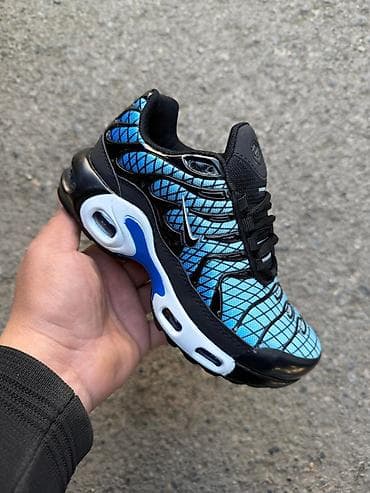 trenerke novi pazar: 31 do 36
3300 — 5