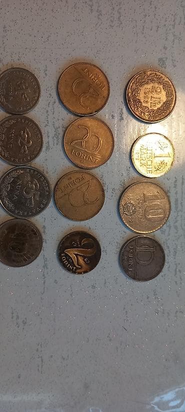 polovne bas gitare: Stari novac . Novi Beograd — 2