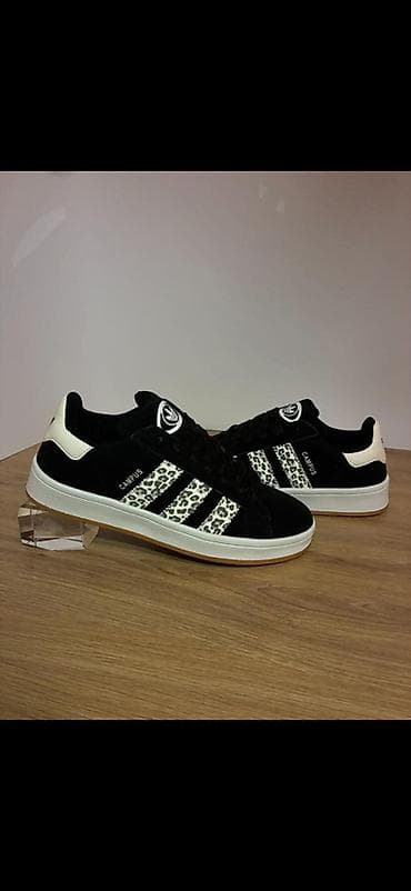 Campus 
3600 
36-41
K💜