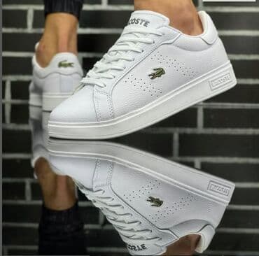 lacoste cipele muske: Patike, veličina - 43 — 8