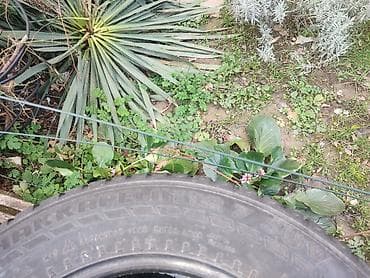 auto placevi vranje: Zimske gume Nokian Hakkapeliitta – set od 4 komada skinuti klinovi — 7