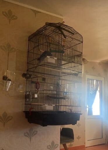 aplikator za tablete za mačke: NOVO Dostupno odmah Praktičan pristup s vrha: Kavez za ptice — 5