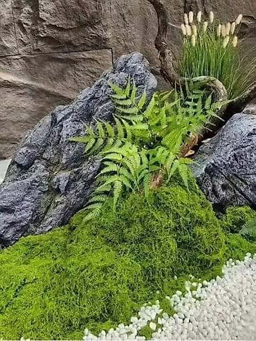 cena heklanih stolnjaka: Vestacka mahovina 100x100
Cena: 2600 din — 2