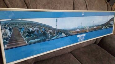 Houseplants: Print, 34 x 140 cm, Used — 8