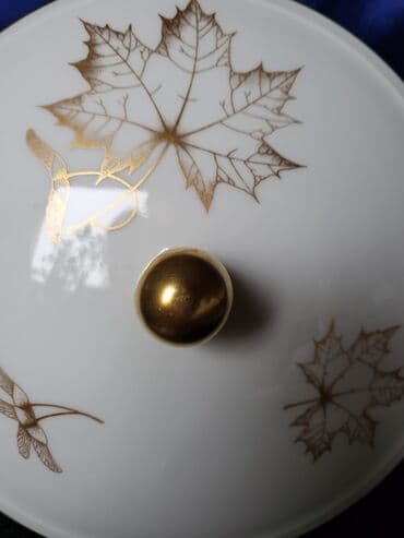 Činije: Corbaluk nov Fraiberger porcelan Istocna Nemacka 70te. Perfektan — 7