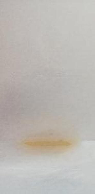 Personal Items: TIZIANA TERENZI WHITE FIRE EXTRAIT DE PARFUM 100ML | Tiziana Terenzi — 8