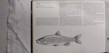 the first frost sa prevodom: Knjiga:The Practical Guide to Coarse Angling (Vodic za pecanje) — 3