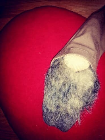 Bilo koji 500 din — 7